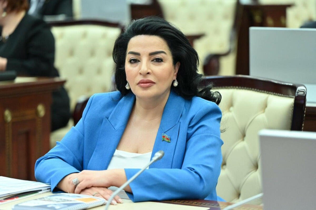 Su ehtiyatlarının idarə olunması artıq milli təhlükəsizlik məsələsidir - Fatma Yıldırım