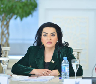İlham Əliyevin balanslı xarici siyasəti Azərbaycanın mövqelərini gücləndirir - Fatma Yıldırım